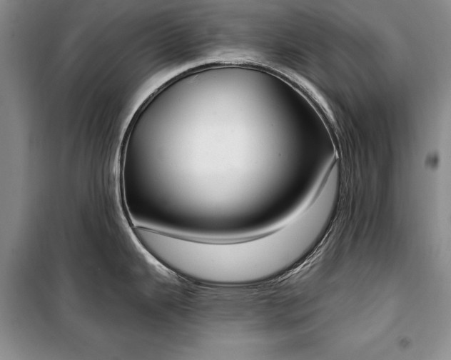 X0000100361343200806131006