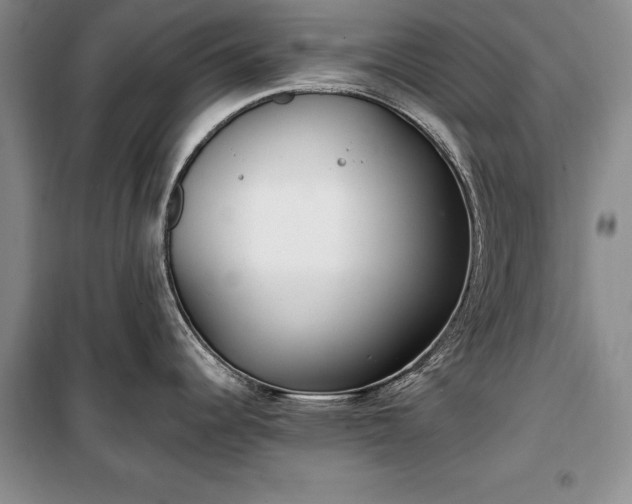 X0000100361344200806131006