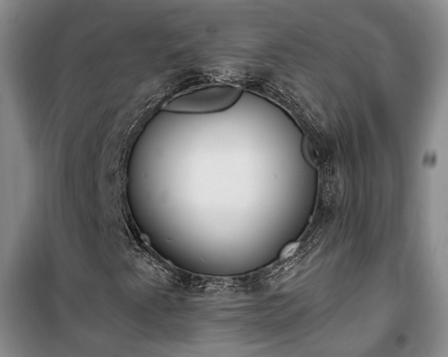 X0000100361345200806131006