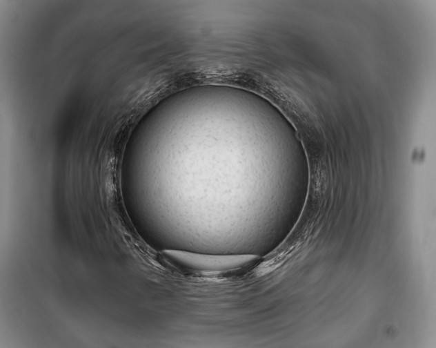 X0000100361346200806131006