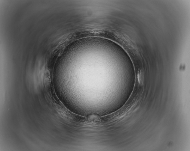 X0000100361347200806131006