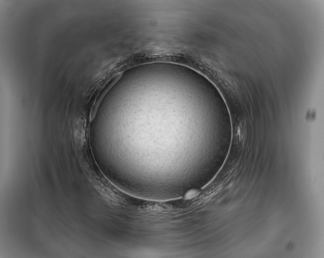 X0000100361348200806131006