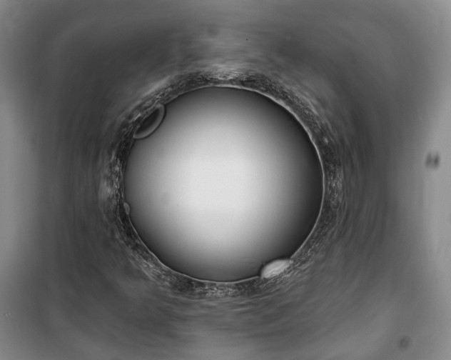 X0000100361349200806131006