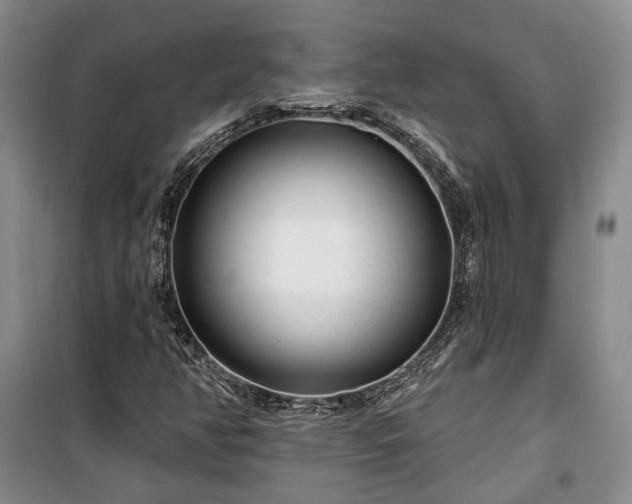 X0000100361350200806131006