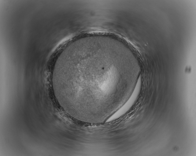 X0000100361351200806131006