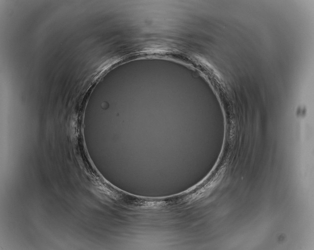 X0000100361353200806131006