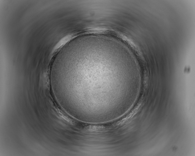 X0000100361354200806131006