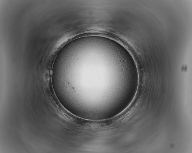 X0000100361355200806131006