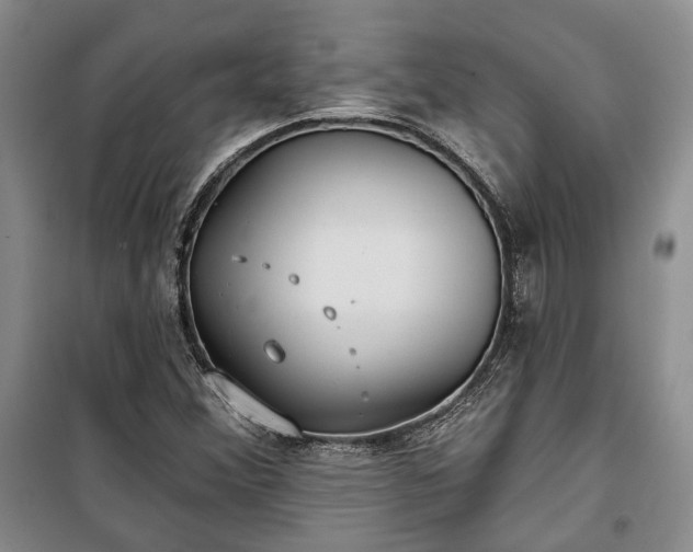 X0000100361356200806131006