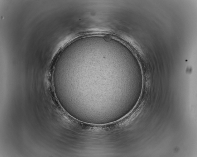 X0000100361357200806131006