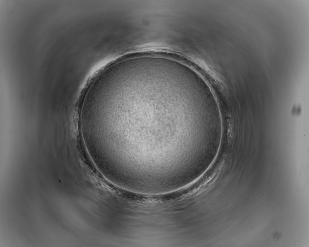 X0000100361358200806131005