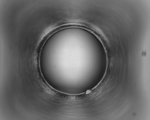 X0000100361360200806131005