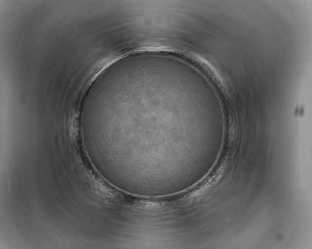 X0000100361361200806131005