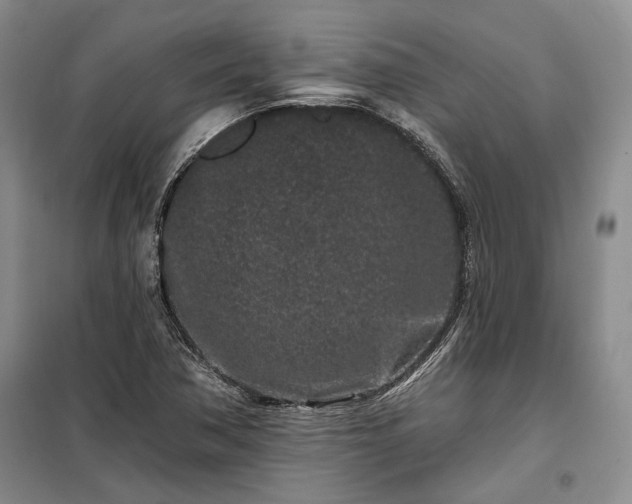 X0000100361362200806131005