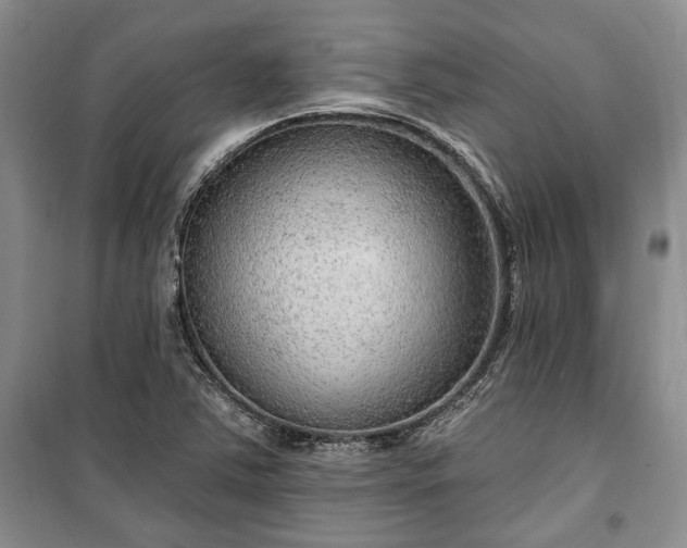 X0000100361363200806131005