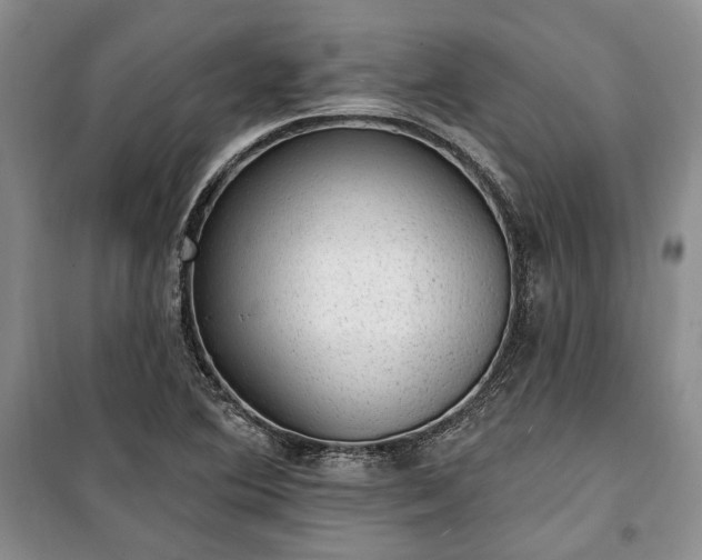 X0000100361364200806131005