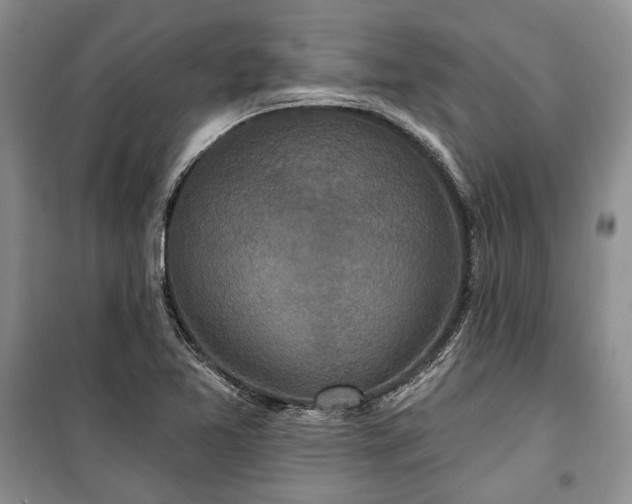 X0000100361365200806131005