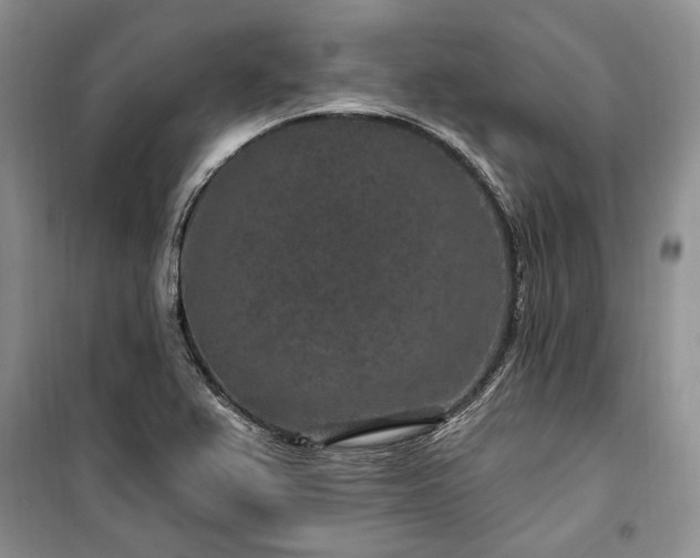 X0000100361367200806131005