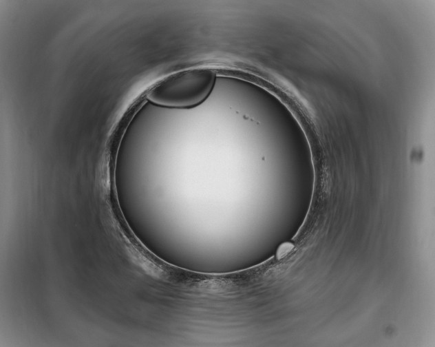 X0000100361368200806131005