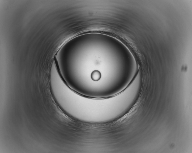 X0000100361369200806131005