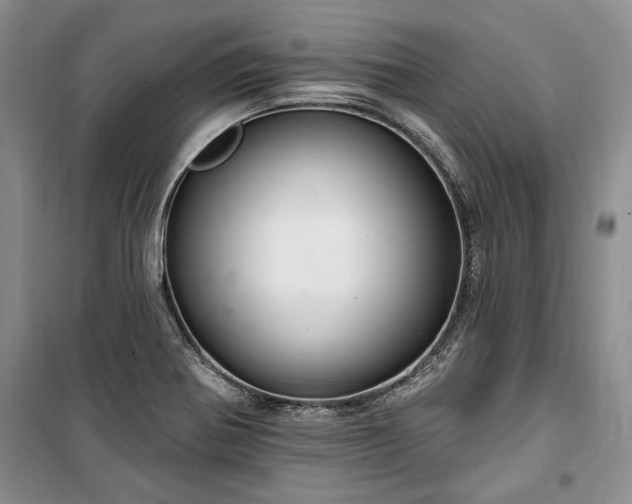 X0000100361370200806131005