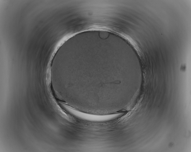 X0000100361371200806131005