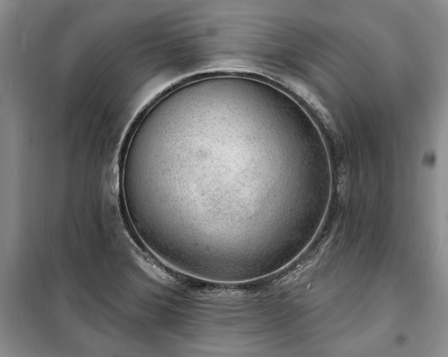 X0000100361372200806131005