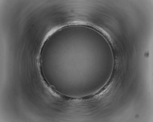 X0000100361373200806131005