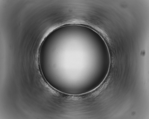 X0000100361374200806131005