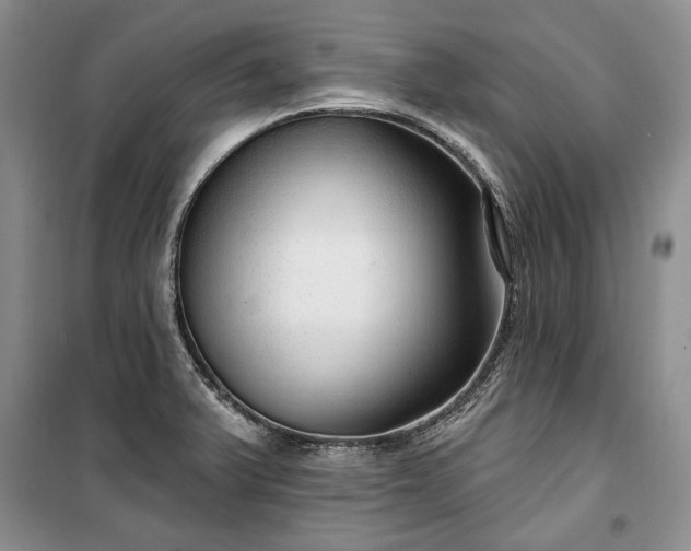 X0000100361375200806131005