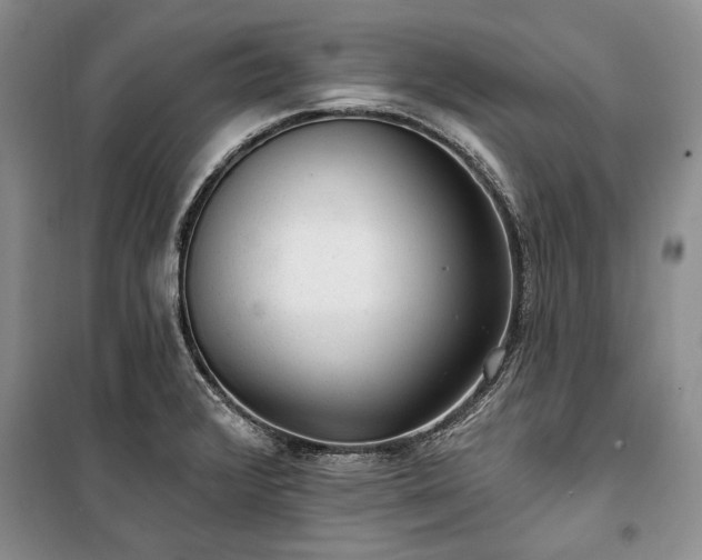 X0000100361376200806131005