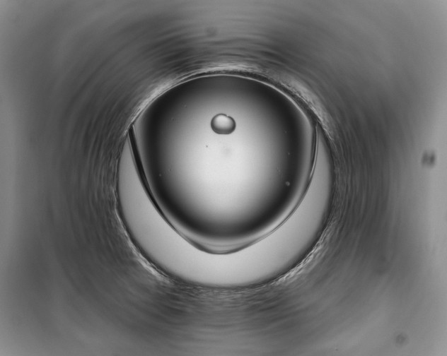 X0000100361377200806131005