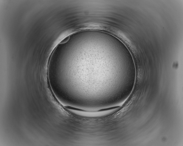 X0000100361378200806131005