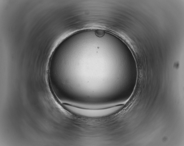 X0000100361379200806131005