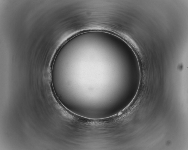 X0000100361380200806131005