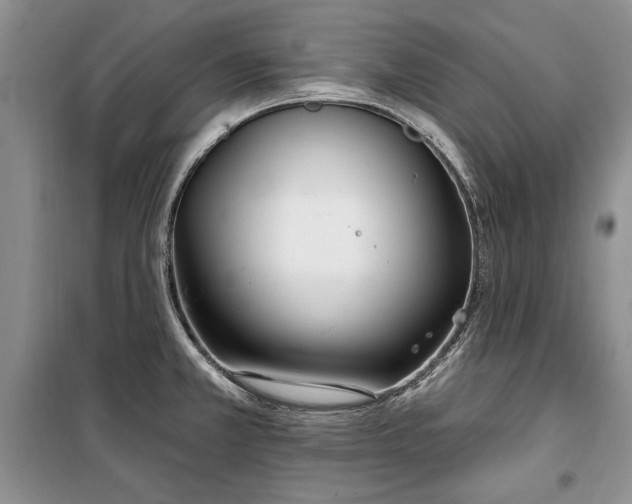 X0000100361381200806131005