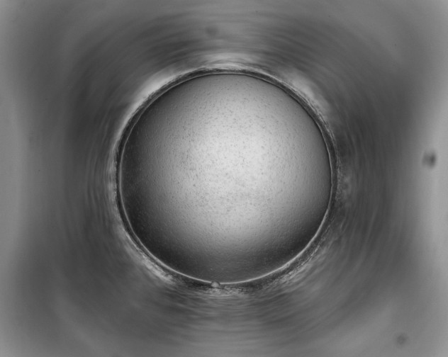 X0000100361384200806131005