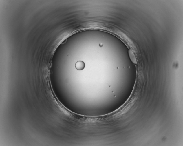 X0000100361385200806131005