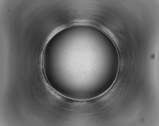 X0000100361386200806131005