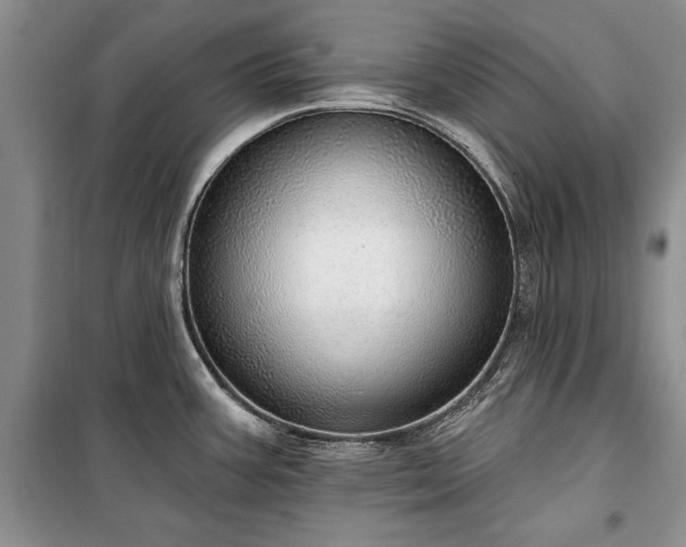 X0000100361387200806131005