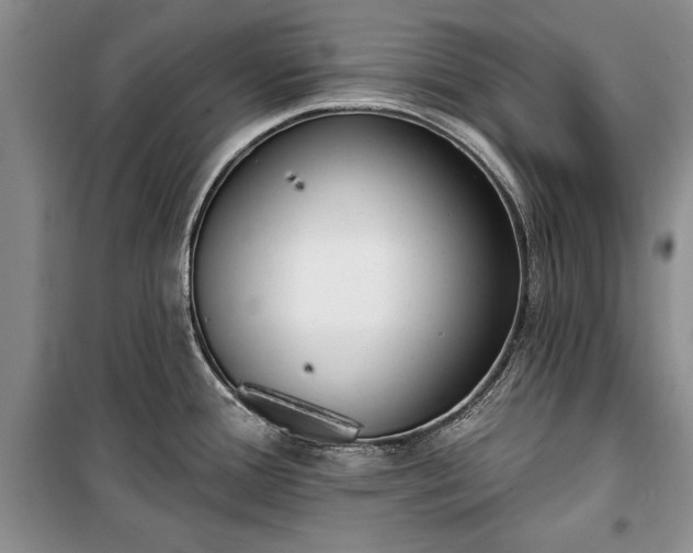 X0000100361388200806131005