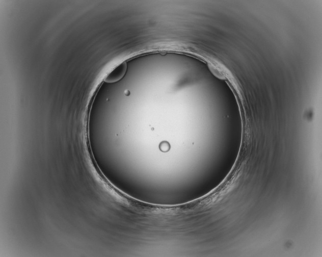 X0000100361389200806131005