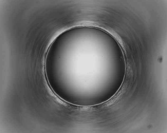 X0000100361390200806131005