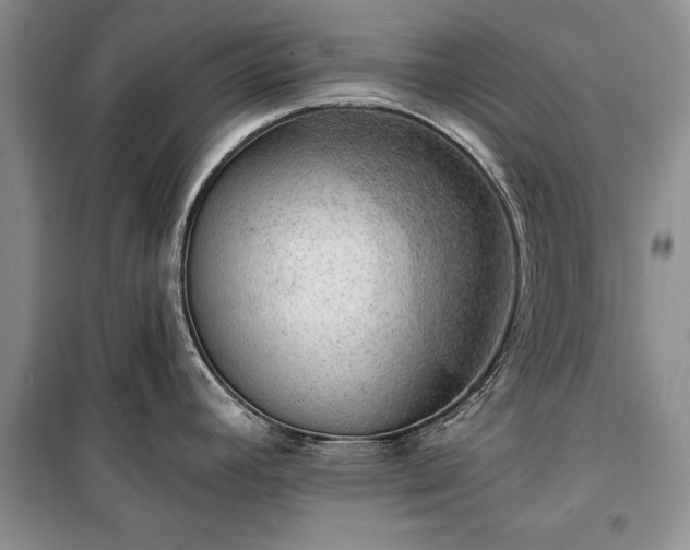 X0000100361392200806131005