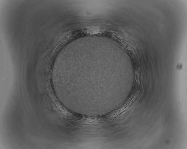 X0000100361393200806131004