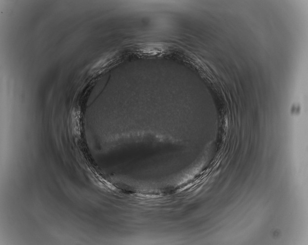 X0000100361394200806131004