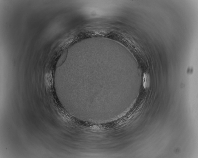 X0000100361395200806131004