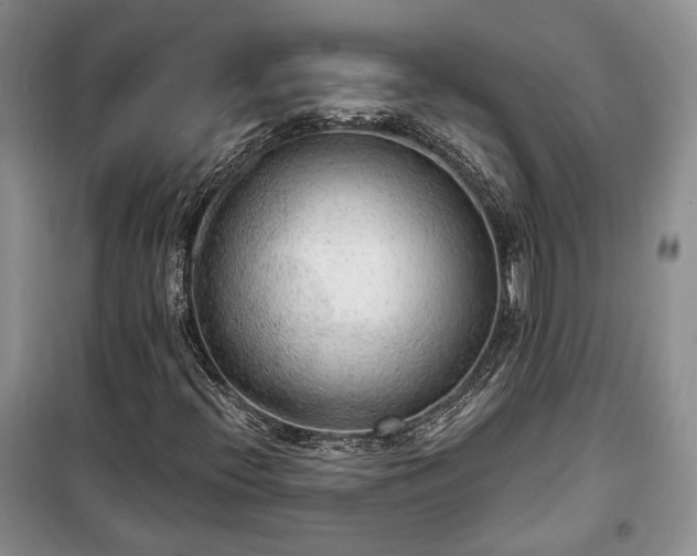 X0000100361396200806131004