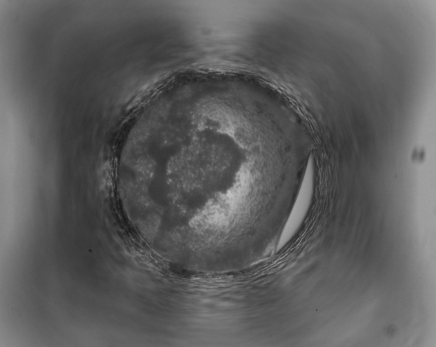 X0000100361397200806131004