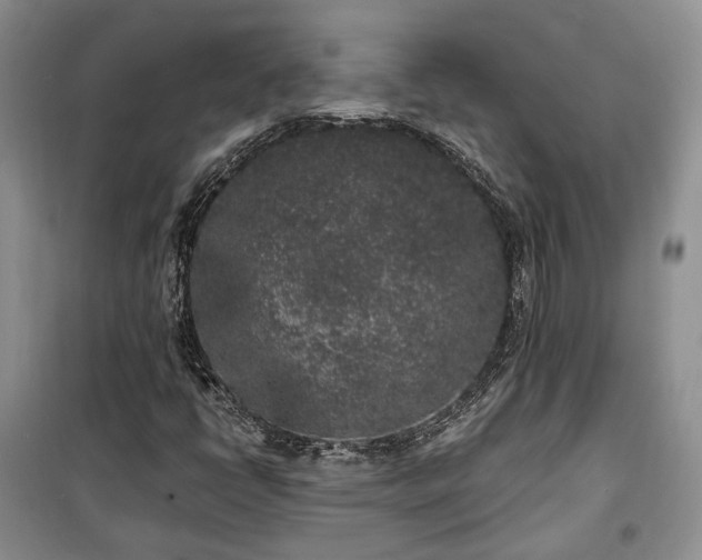 X0000100361398200806131004